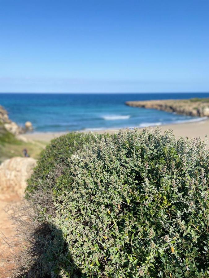 Biddiccia Home In Sicily ノート エクステリア 写真